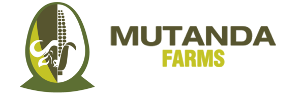 Mutanda Farm, Zambia Company Logo